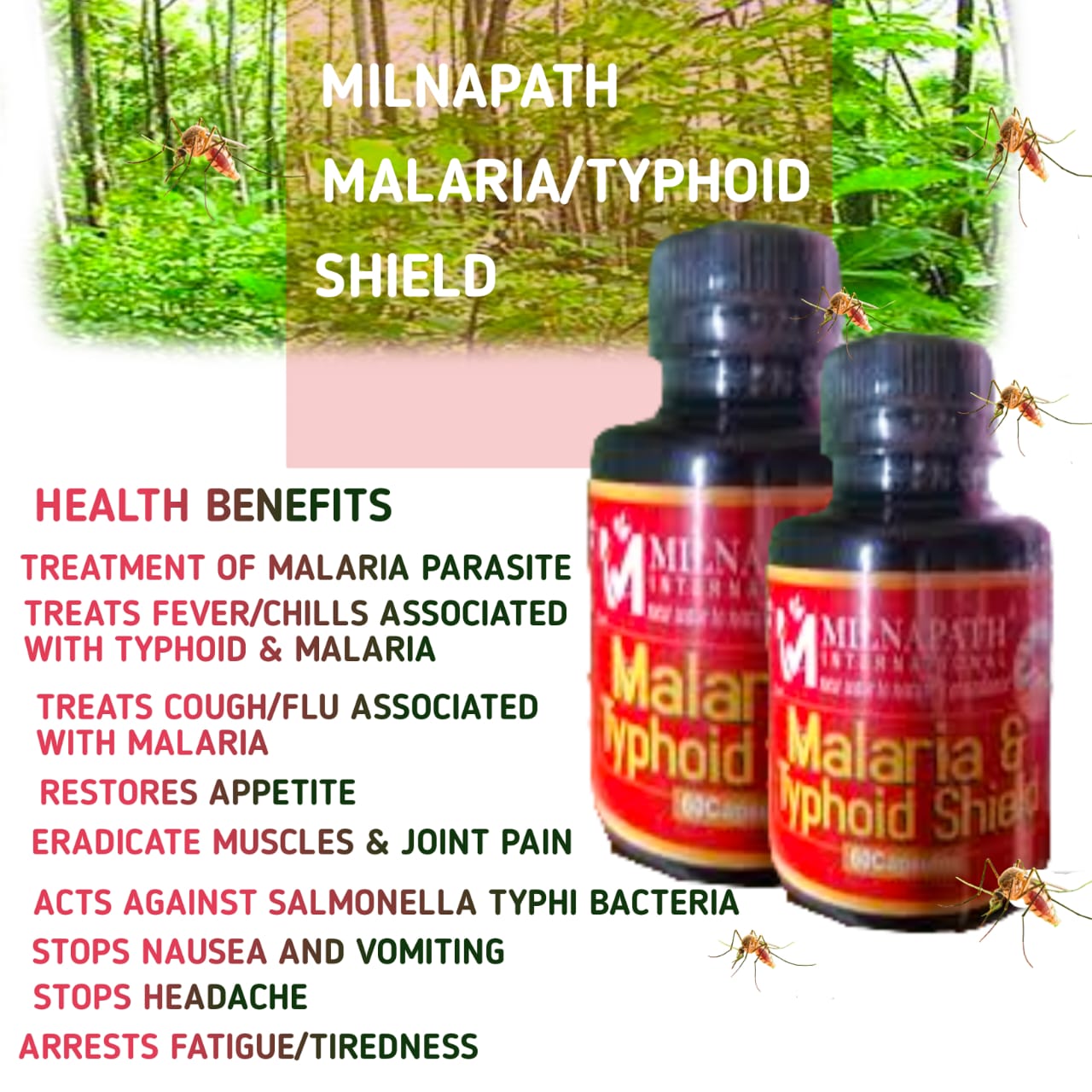 Typhoid & Malaria shield
